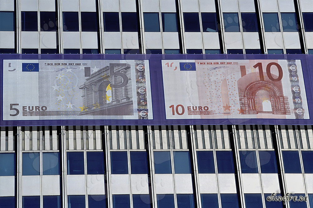 Banca Centrale Europea (BCE) - Eurotower a Francoforte sul Meno, Germania