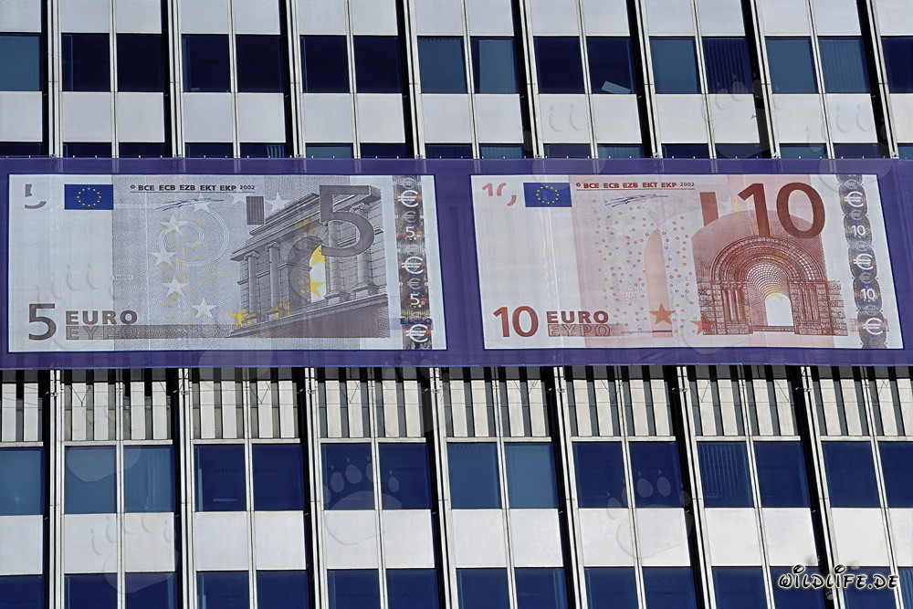 Banque centrale européenne (BCE) - Eurotower à Francfort-sur-le-Main, Allemagne