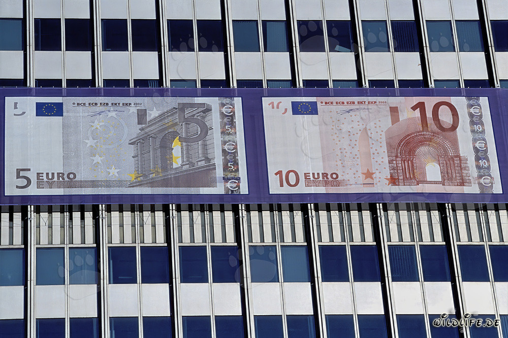European Central Bank (ECB) - Eurotower in Frankfurt, Germany