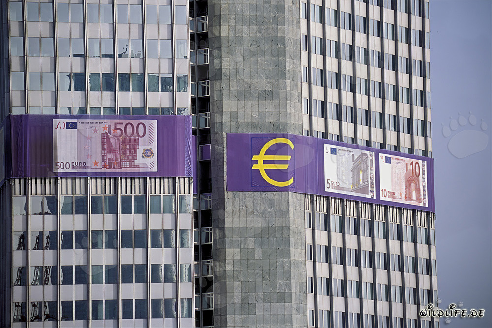 Fotografia della Banca Centrale Europea (BCE) - Eurotower a Francoforte sul Meno