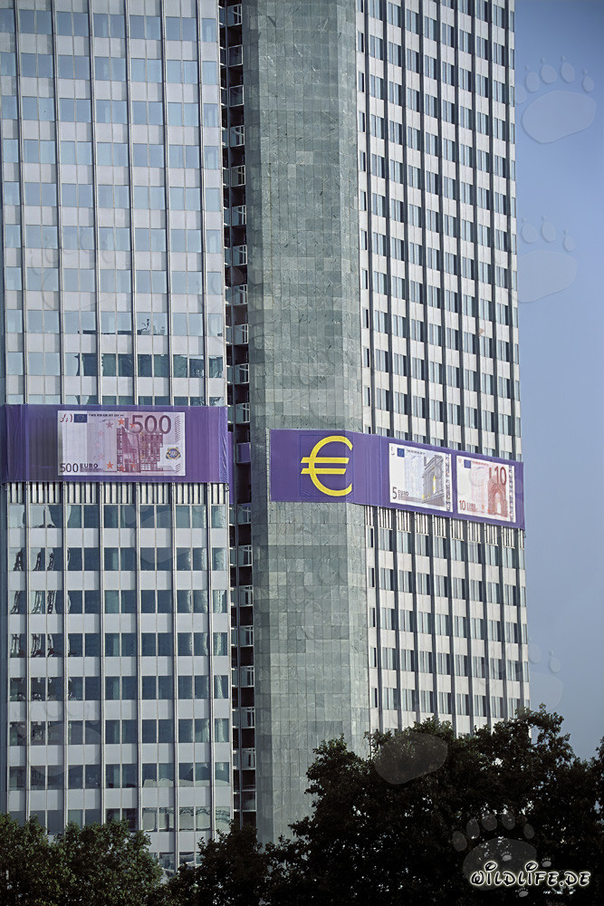 Banca Centrale Europea Francoforte - Simbolo dell'economia europea e della stabilità