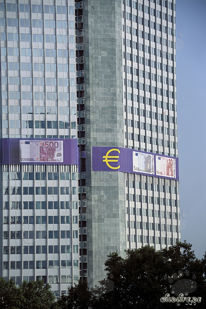 Banco Central Europeo Frankfurt - Símbolo de la economía europea y estabilidad