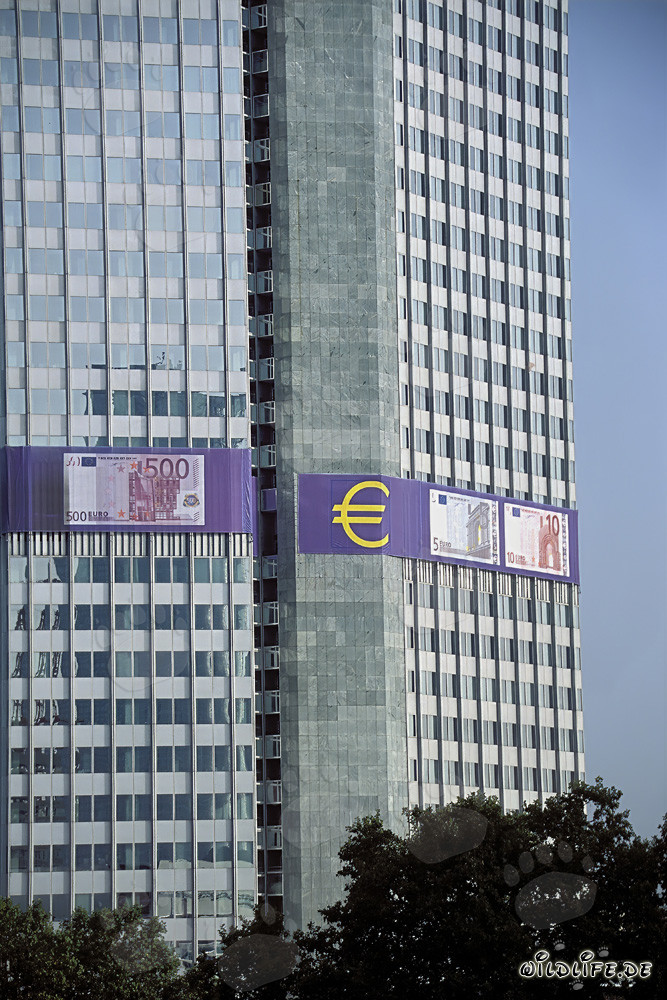 Banque centrale européenne Francfort - Symbole de l'économie européenne et de la stabilité