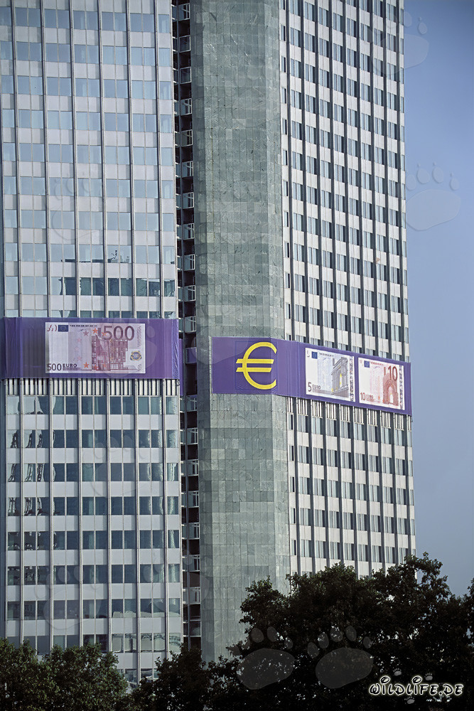 ECB's Eurotower Frankfurt - Icon of European Economy and Stability