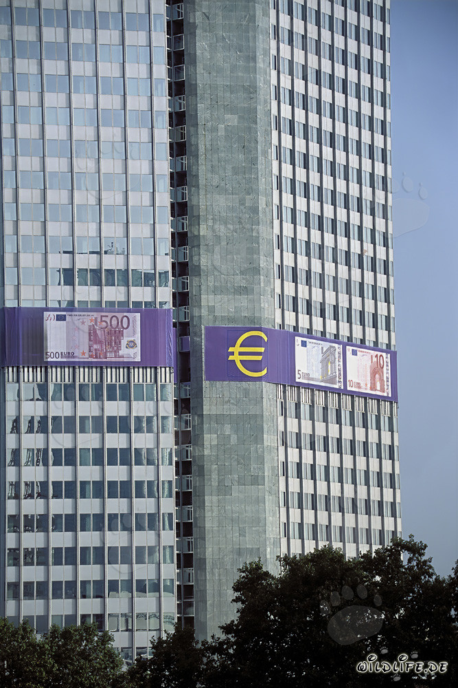 Europäische Zentralbank Frankfurt - Symbol für europäische Wirtschaft und Stabilität