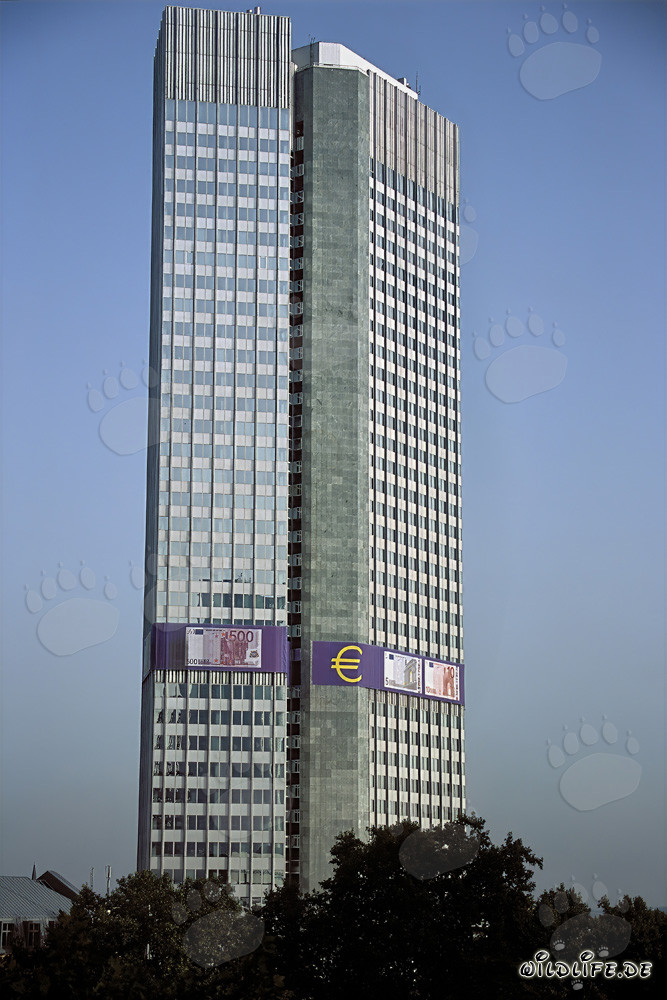 Banco Central Europeo (BCE) - Eurotower en Fráncfort del Meno, Hesse, Alemania
