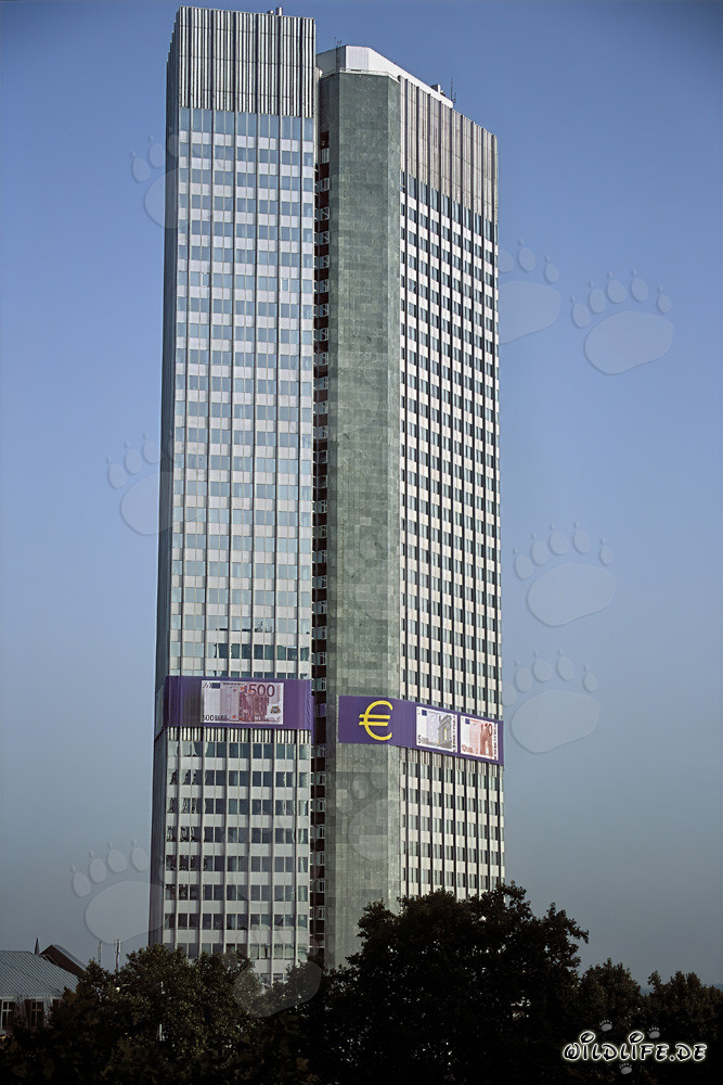 Banque centrale européenne (BCE) - Eurotower à Francfort-sur-le-Main, Hesse, Allemagne
