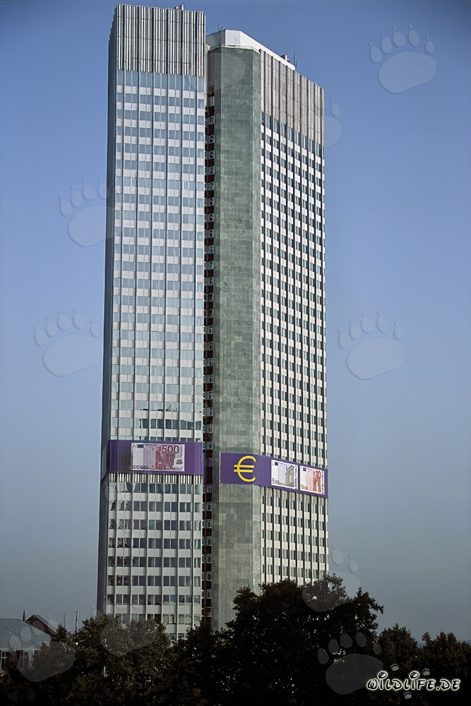 Europäische Zentralbank (EZB) - Eurotower in Frankfurt am Main, Hessen, Deutschland