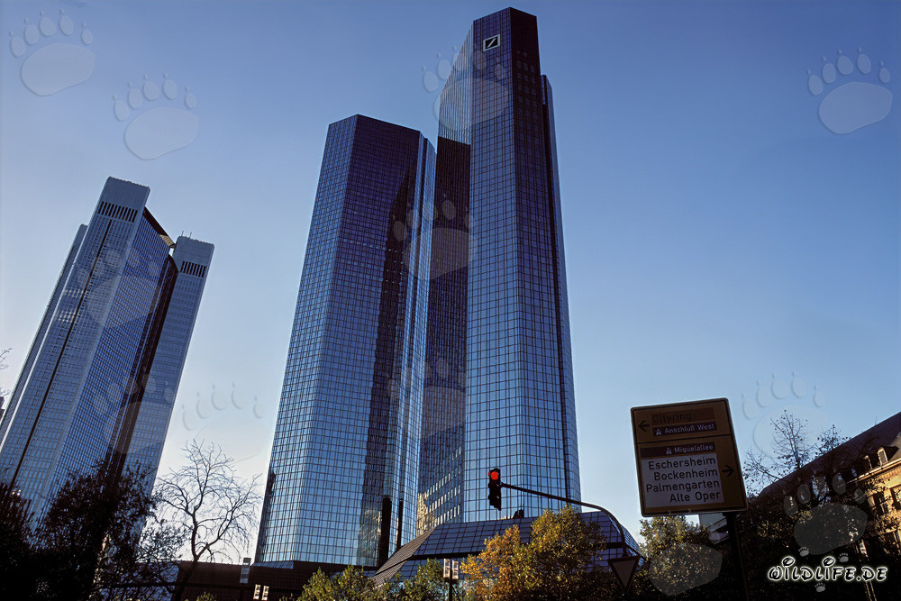 Architektur der Deutschen Bank Zentrale in Frankfurt am Main