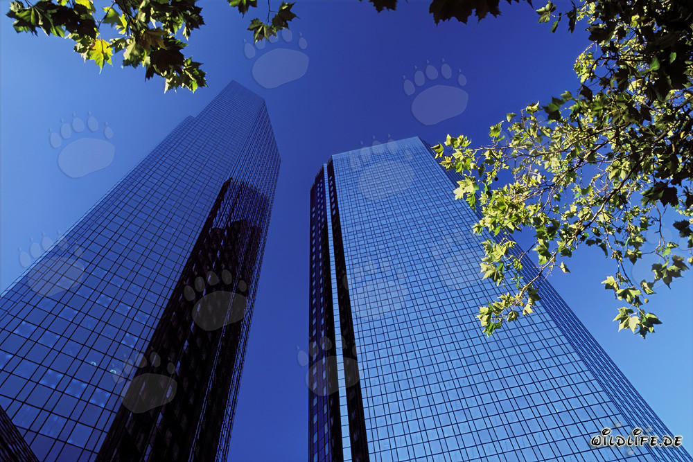 Les tours jumelles de la Deutsche Bank à Francfort-sur-le-Main