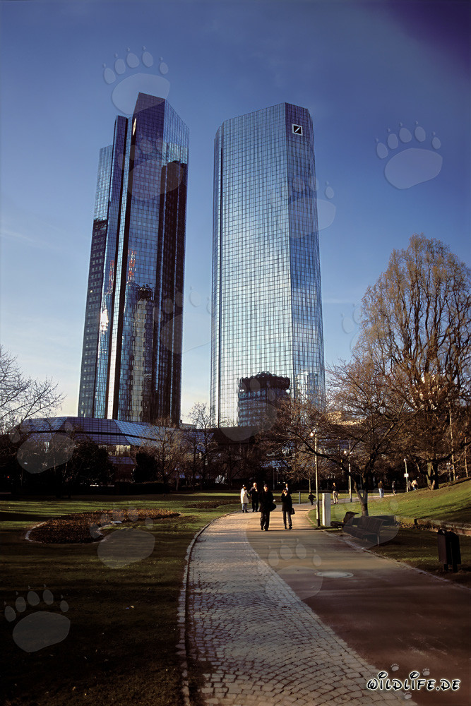 La sede centrale della Deutsche Bank a Francoforte - Simbolo della città bancaria