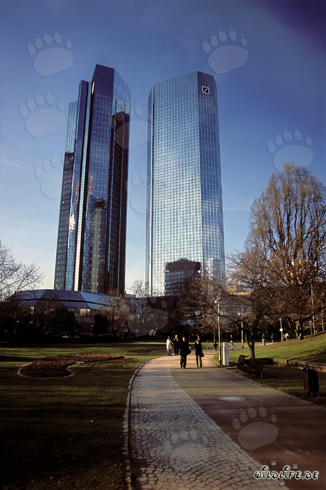Die Deutsche Bank Zentrale in Frankfurt - Symbol der Bankenstadt