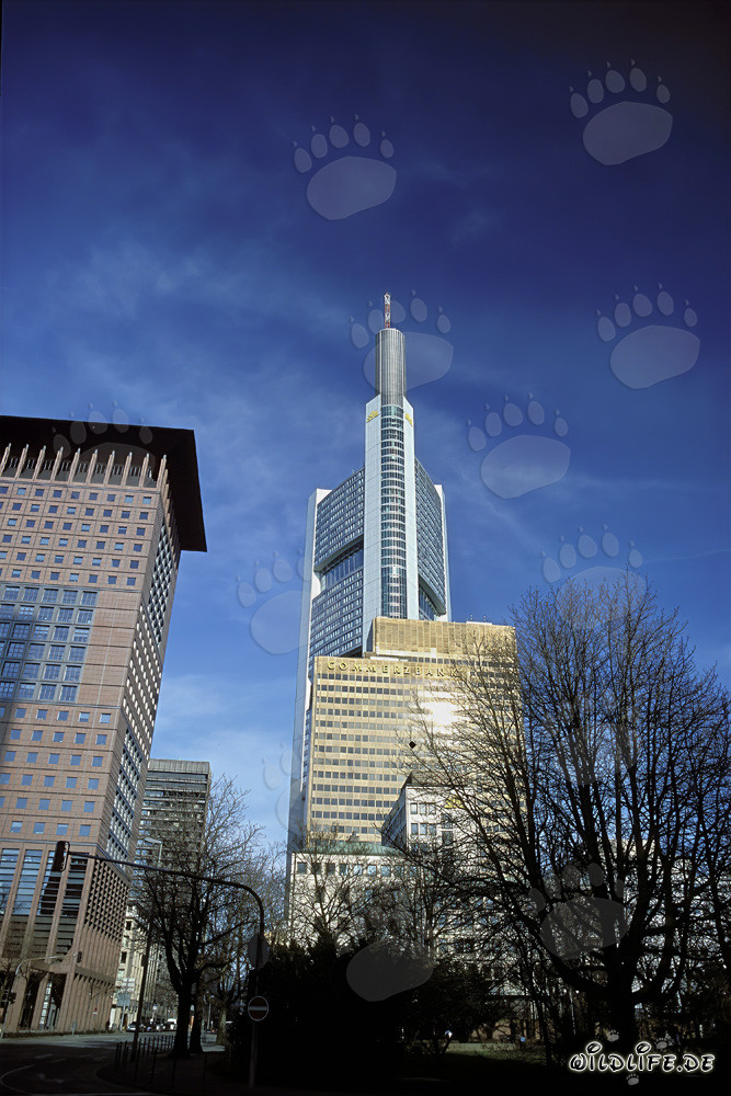 Futuristisches Japan-Center und Commerzbank-Gebäude in Frankfurt am Main