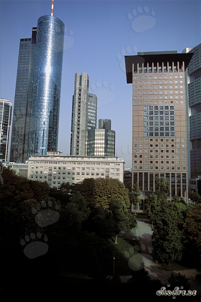Futuristic Architecture: Japan-Center and Maintower in Frankfurt