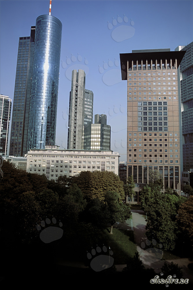 Futuristische Architektur: Japan-Center und Maintower in Frankfurt