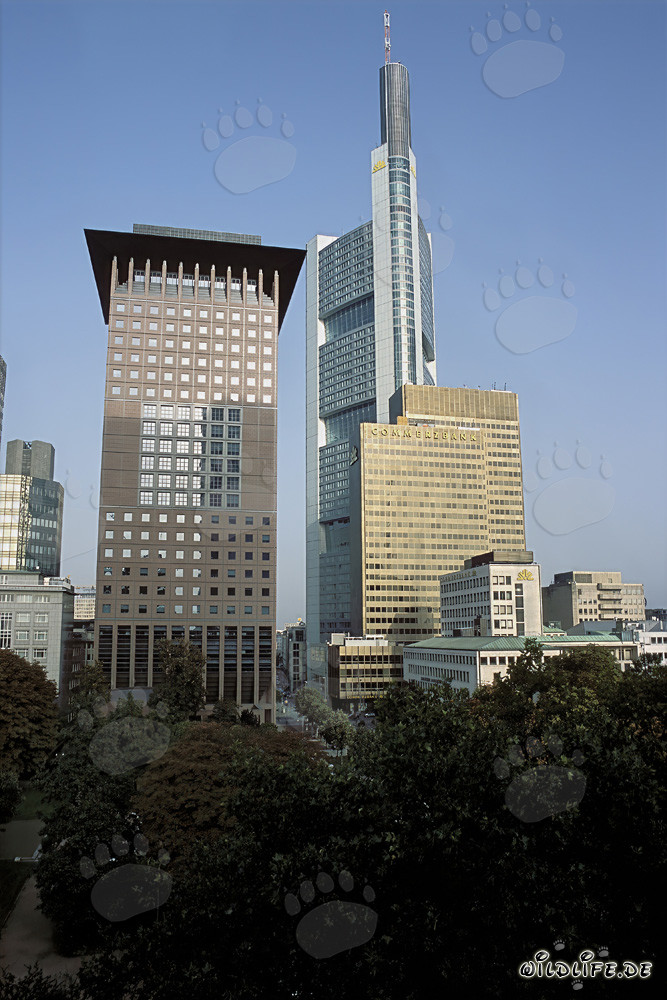 Centre japonais et Commerzbank à Francfort-sur-le-Main - Architecture fascinante de l'Extrême-Orient