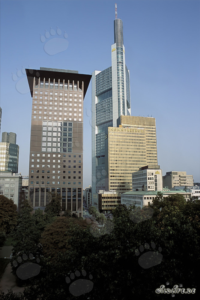 Centro Giapponese e Commerzbank a Francoforte sul Meno - Architettura affascinante dell'Estremo Oriente