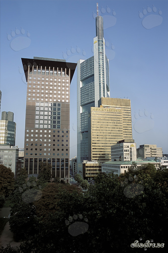 Centro Japonés y Commerzbank en Fráncfort del Meno - Arquitectura fascinante del Lejano Oriente