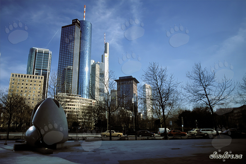 Frankfurt Skyline at Sunset