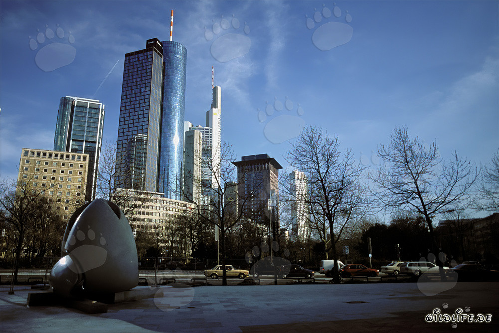 Frankfurter Skyline bei Sonnenuntergang