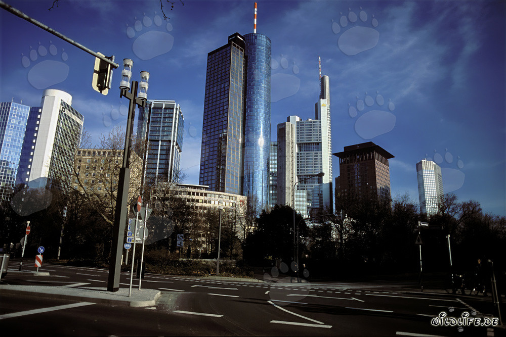 Beeindruckende Skyline von Frankfurt am Main
