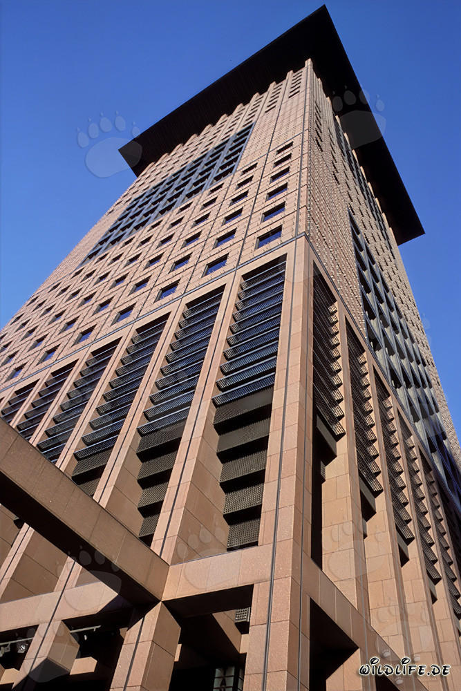 Fotografie des imposanten Japan-Centers in Frankfurt am Main