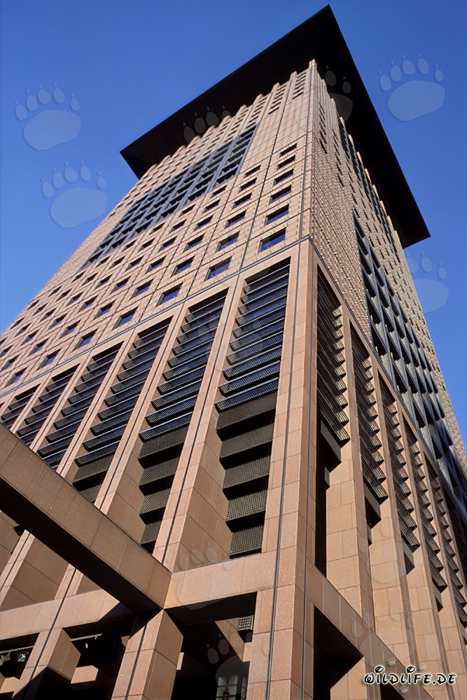 Photograph of the impressive Japan Center in Frankfurt