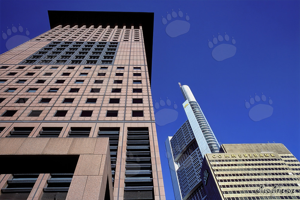 Centre japonais futuriste et imposant bâtiment de la Commerzbank à Francfort