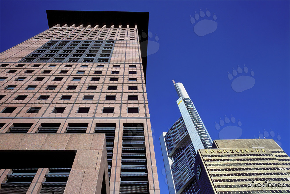 Centro japonés futurista y distintivo edificio de la Commerzbank en Fráncfort