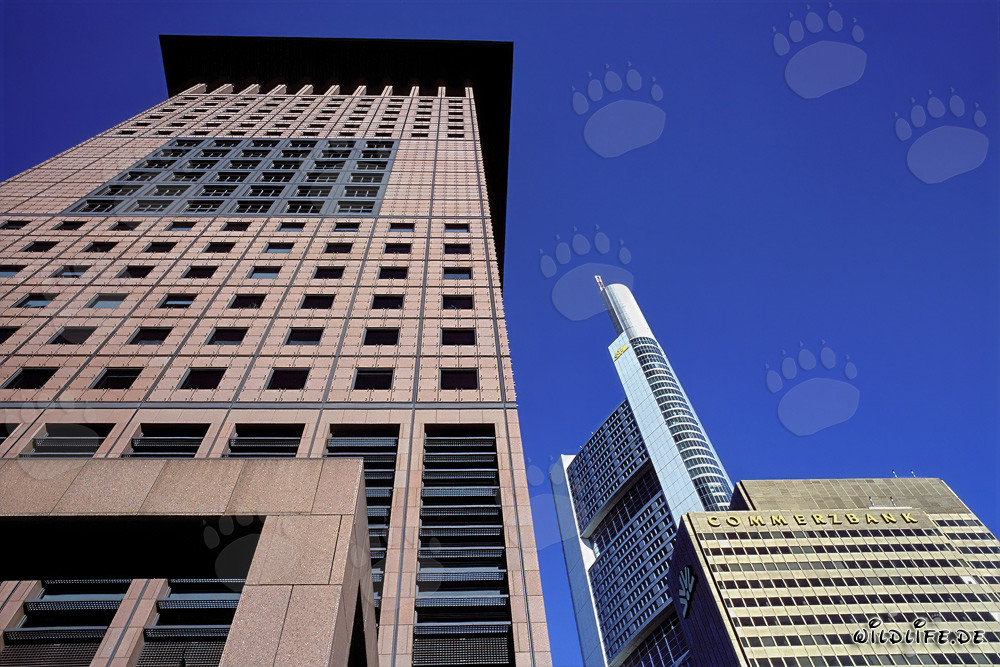 Centro giapponese futuristico e distintivo edificio della Commerzbank a Francoforte