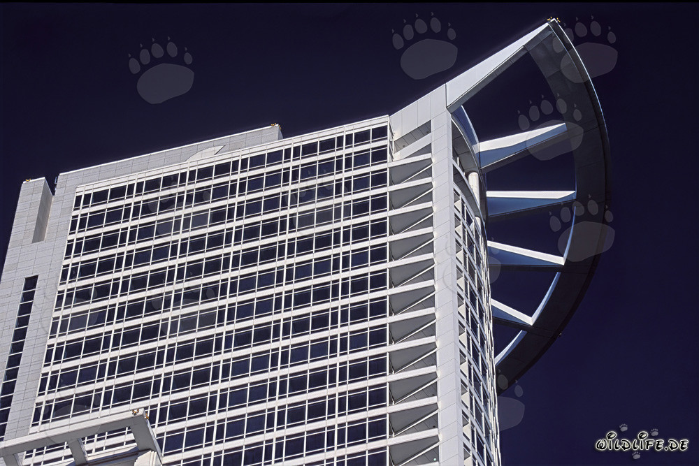 Futuristic Skyscraper of DZ-Bank in Frankfurt am Main