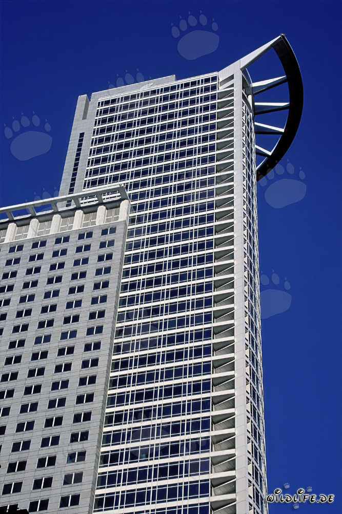 Beeindruckendes Hochhaus der DZ-Bank in Frankfurt