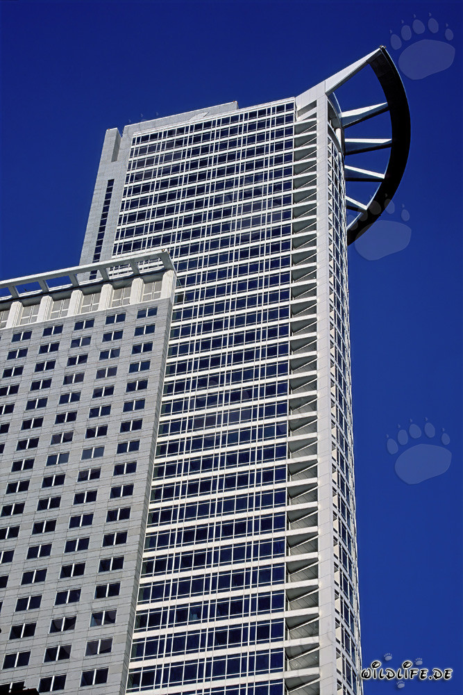 Impressive DZ-Bank Skyscraper in Frankfurt