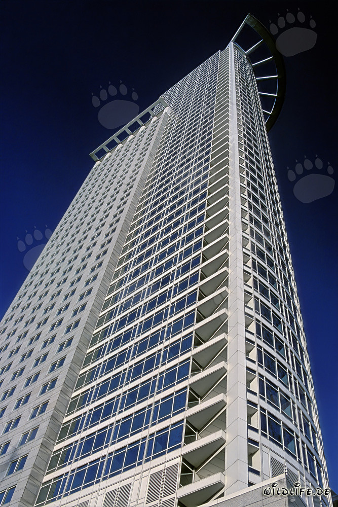 DZ-Bank Skyscraper in Frankfurt - Impressive Architectural Marvel