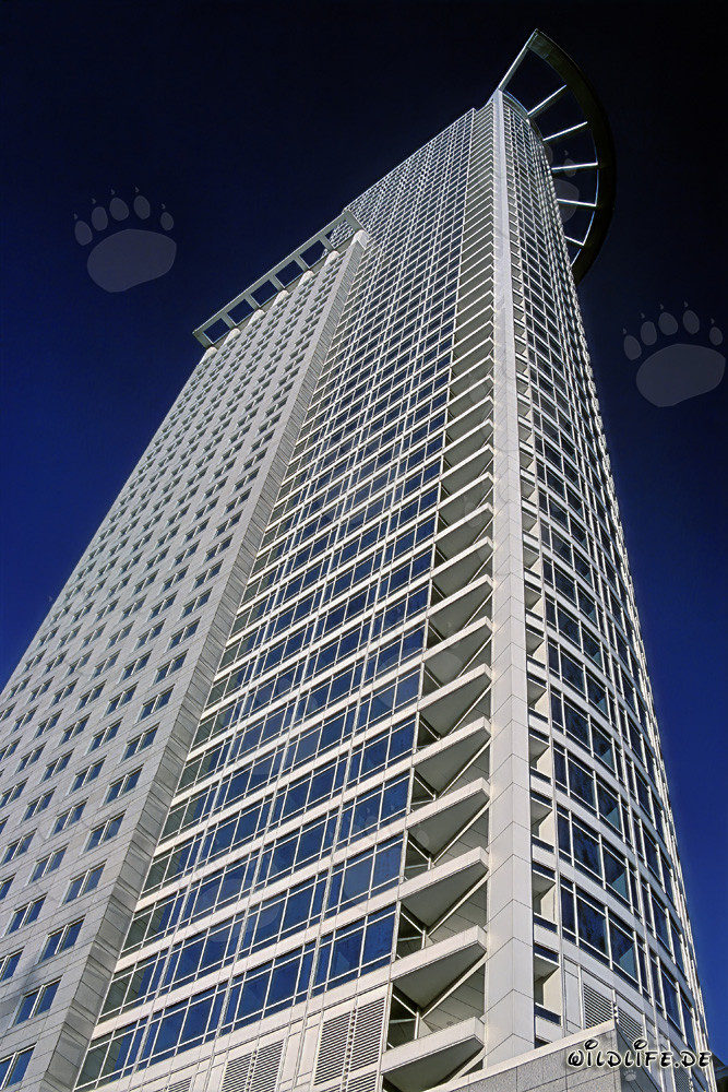 Grattacielo della DZ-Bank a Francoforte - Impressionante meraviglia architettonica