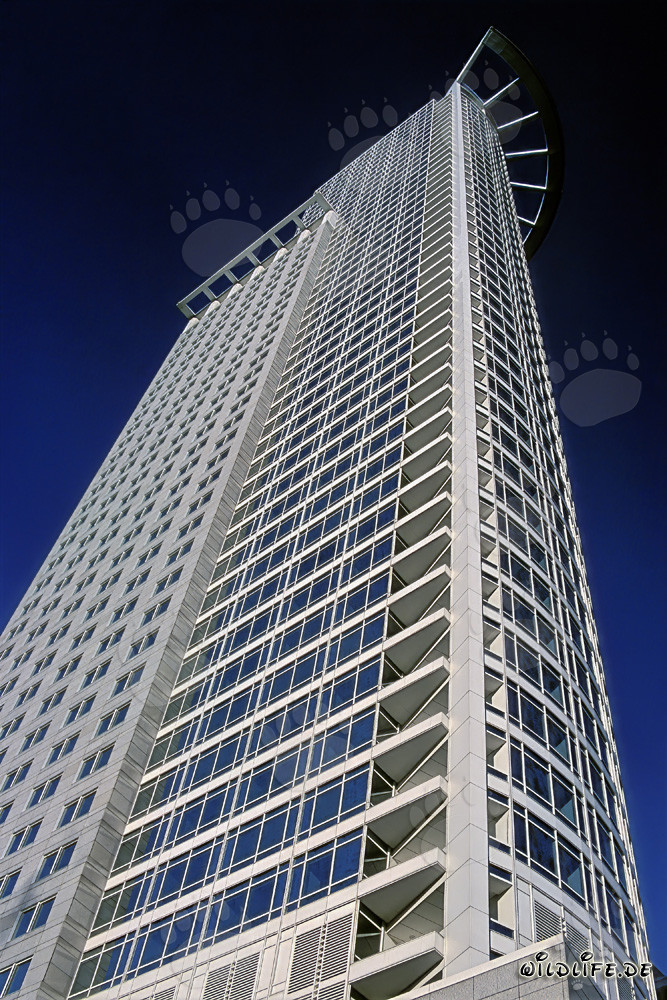 Hochhaus der DZ-Bank in Frankfurt - Imposantes Architekturwunder