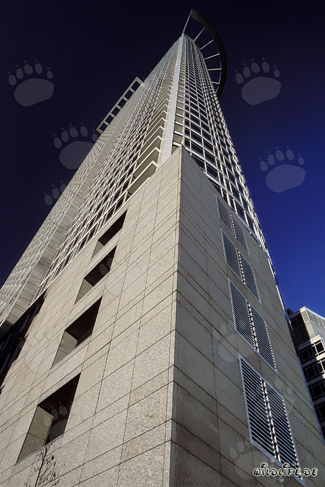 Hochhaus der DZ-Bank in Frankfurt
