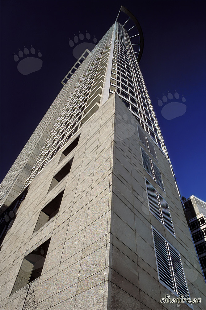 Skyscraper of DZ Bank in Frankfurt