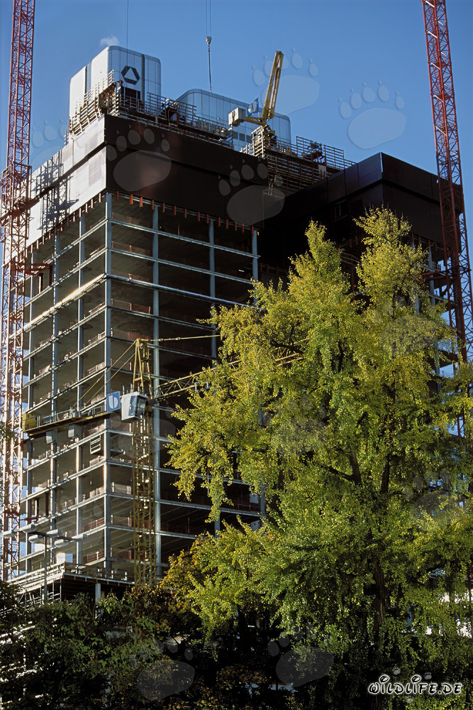 Gallileo Baustelle - Architektur moderner Wolkenkratzer in Frankfurt