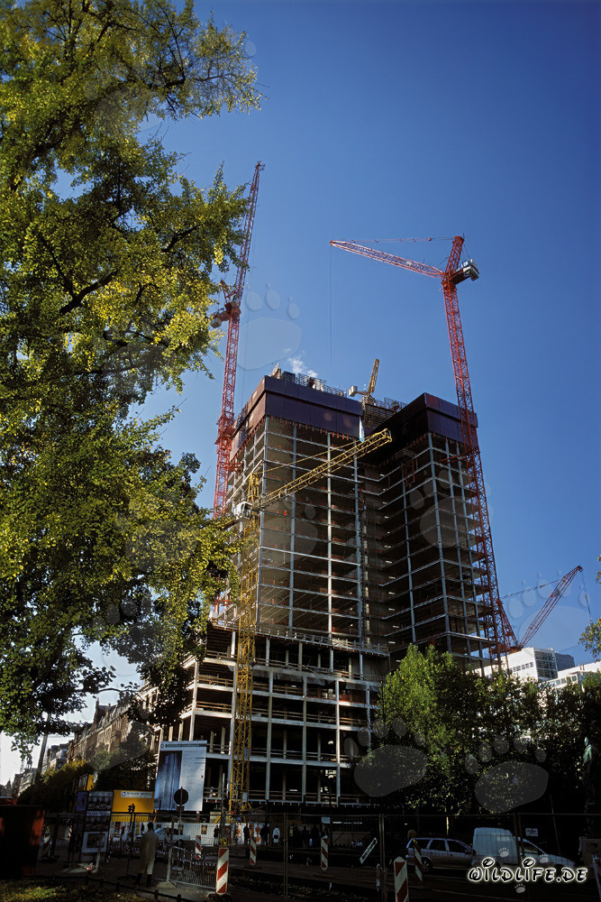 Gallileo Baustelle in Frankfurt: Imposantes Doppelhochhaus
