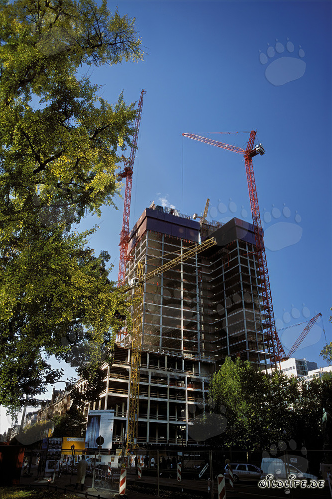 Gallileo Construction Site in Frankfurt: Impressive Twin Skyscrapers