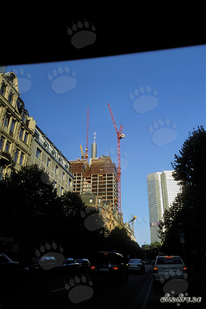 Construcción del rascacielos doble Gallileo en Frankfurt am Main, Alemania