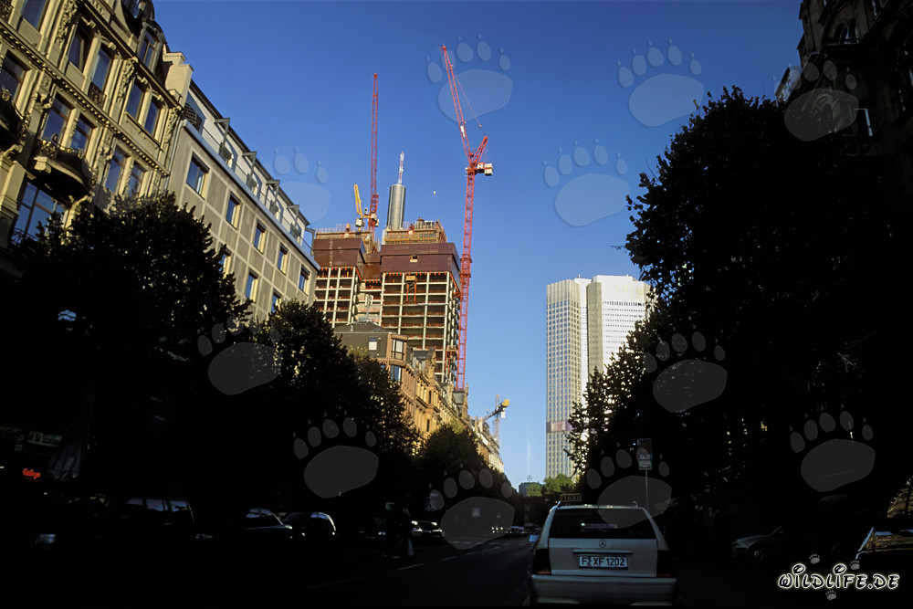 Faszinierendes Gallileo Baustelle in Frankfurt am Main, Deutschland