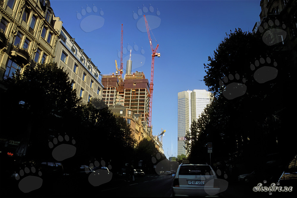 Fascinating Gallileo Construction Site in Frankfurt am Main, Germany