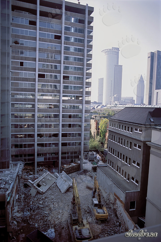 Spectacular demolition works at former headquarters of Philipp Holzmann AG in Frankfurt am Main
