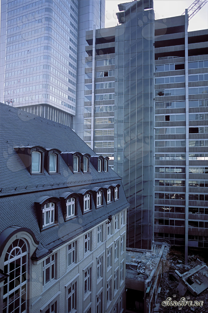 Demolition works at the former headquarters of Philipp Holzmann AG in Frankfurt am Main