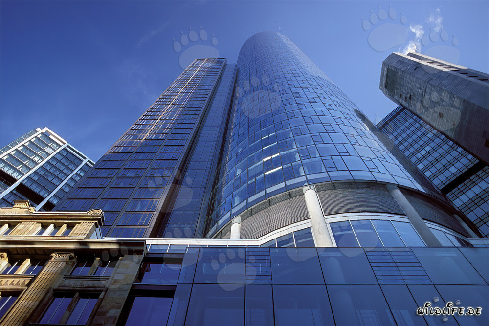 Frankfurt's Maintower at Sunset – Architectural Masterpiece in Hessen