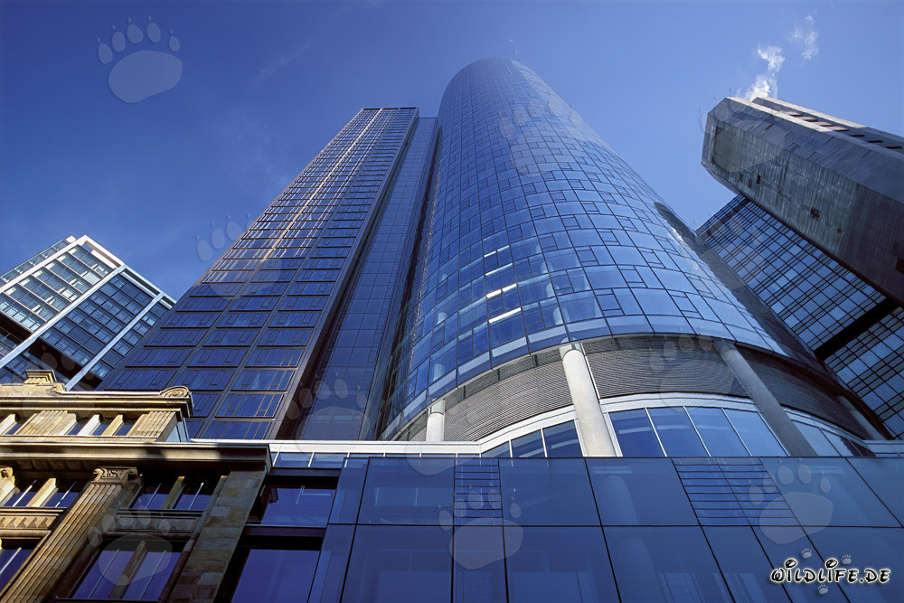 Maintower de Fráncfort al atardecer - obra maestra arquitectónica en Hessen