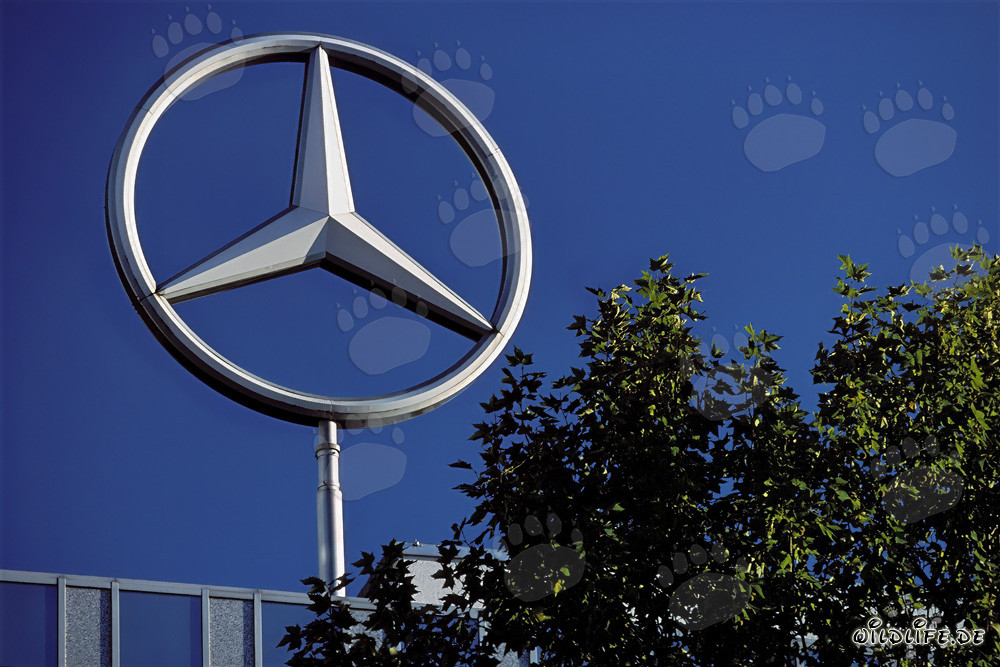 Mercedesstern