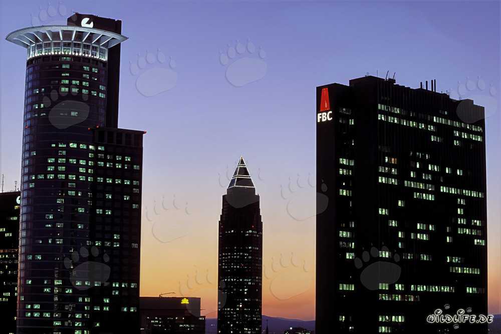 Faszinierende Skyline von Frankfurt bei Nacht